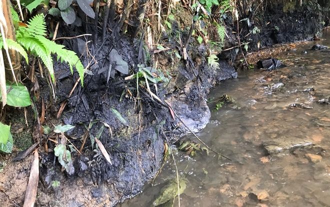 Phó Tổng cục trưởng Tổng cục Môi trường: Ô nhiễm nguồn nhà máy nước sạch sông Đà do xe tải đổ trộm dầu thải