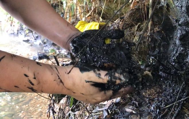 Giám đốc Sở Xây dựng Hà Nội: ‘Công ty nước sạch sông Đà phát hiện dầu thải nhưng không báo cáo và có hành vi ngăn chặn’