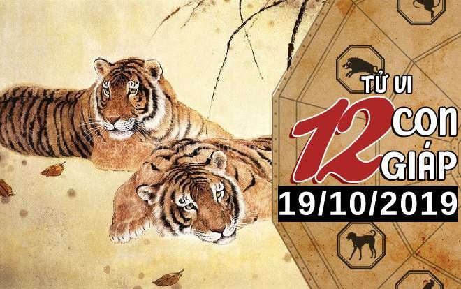Tử vi thứ 7 ngày 19/10/2019 của 12 con giáp: Mão được khen ngợi, Sửu nên biết lắng nghe