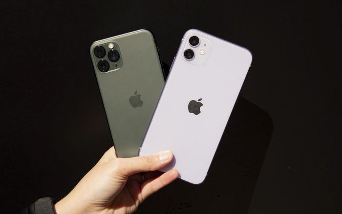 Hiệu năng của iPhone 11 khủng ngang ngửa máy tính để bàn của Intel và AMD