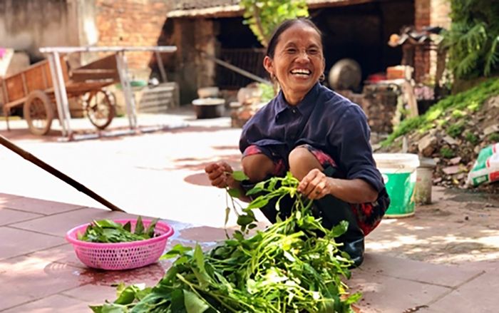 Bị ‘ném đá’ dữ dội, Bà Tân Vlog phải xoá video cháo yến gây tranh cãi