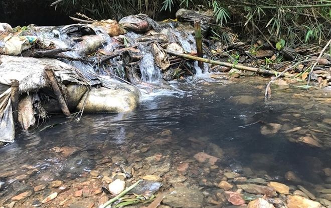 Bắt khẩn cấp 2 đối tượng đổ trộm dầu thải gây ô nhiễm nguồn nước nhà máy sông Đà