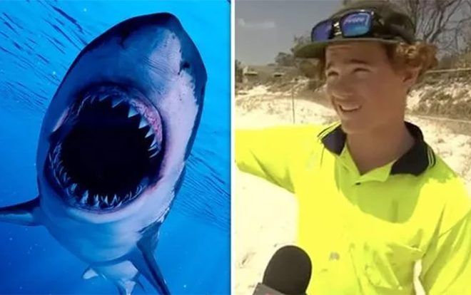 Thanh niên sợ 'hết hồn vía' kể lại giây phút bị cá mập đuổi sát nút