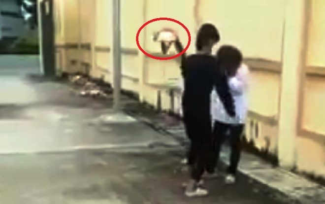 Nữ sinh dùng mũ bảo hiểm đánh tới tấp vào đầu bạn, tung clip lên Facebook chỉ vì ngoan hơn khiến dân tình phẫn nộ