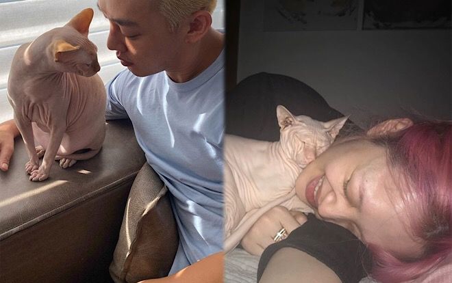 Sự thật về việc Yoo Ah In nuôi mèo cưng của Sulli