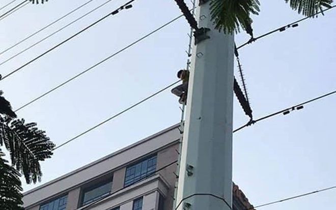 Cảnh sát căng đệm hơi giải cứu nam thanh niên nghi ngáo đá ngồi vắt vẻo trên cột điện cao thế