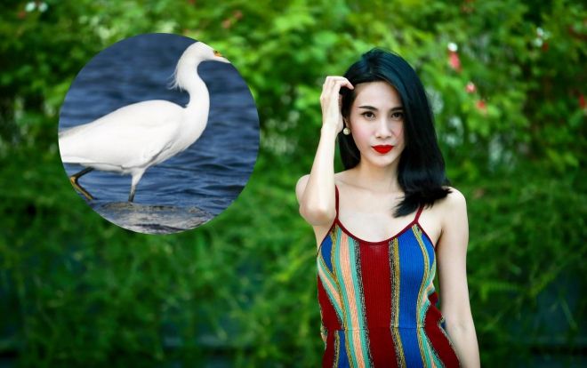 Thủy Tiên bất ngờ bị cò ma cắn mông