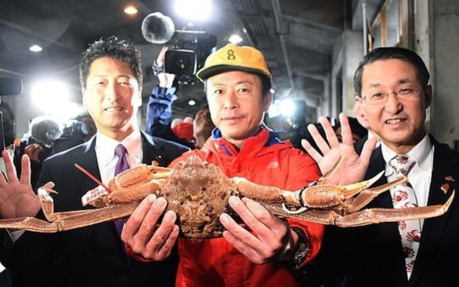 Cua tuyết Nhật Bản được bán giá kỷ lục 1 tỷ đồng