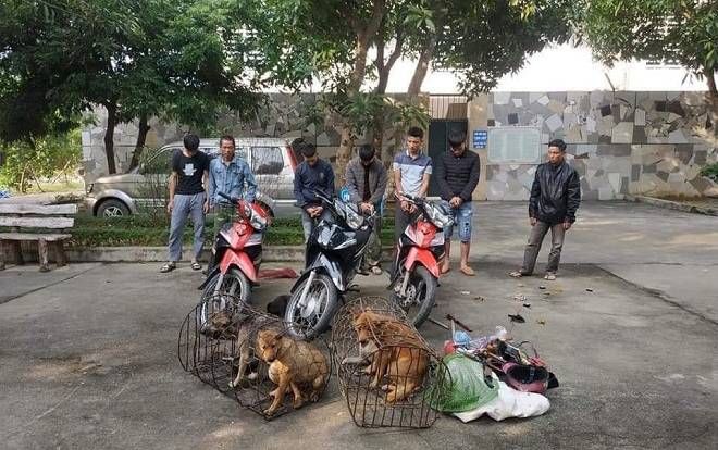 Bắt ổ 'cẩu tặc' mang theo vũ khí nóng thực hiện 70 vụ câu trộm chó