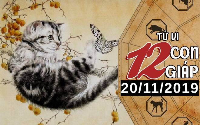Tử vi thứ 4 ngày 20/11/2019 của 12 con giáp: Mão may mắn về tài chính, Thân không nên tự trách mình