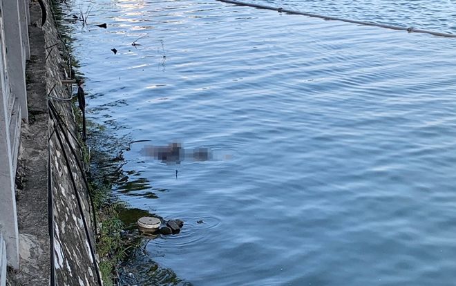 Phát hiện thi thể cụ bà khoảng 70 tuổi nổi trên hồ Tây