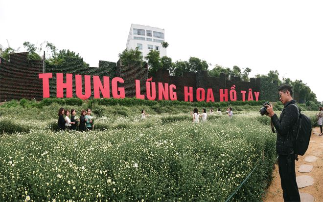 Giới trẻ sốt xình xịch với ‘thung lũng cúc họa mi’ ngay cạnh Hồ Tây