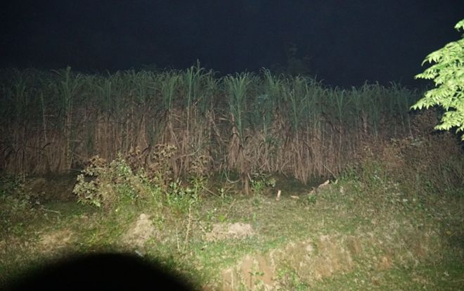 Mẹ kế sát hại rồi phi tang con chồng 6 tuổi ngoài vườn mía ‘có biểu hiện thần kinh không bình thường’