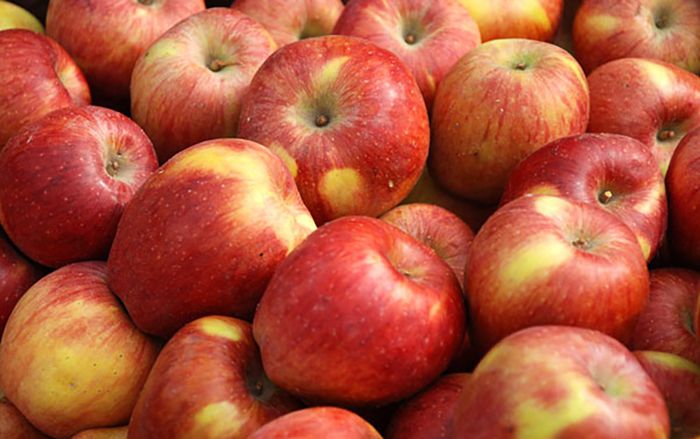 Muốn biết Apple lớn đến mức nào cứ xem hình ảnh này là rõ