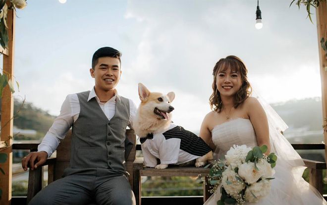 Cuộc sống như mơ của cặp đôi 9X rời bỏ phố thị, hẹn nhau 'về quê nuôi chó trồng rau' và cái kết viên mãn