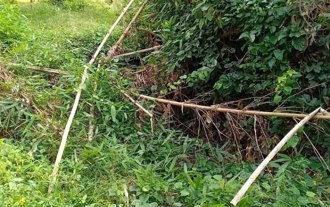 Đã xác định được danh tính thi thể không đầu trong vườn điều ở Bình Phước