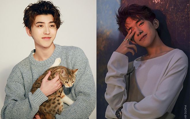 Fan Thái Từ Khôn nguyền rủa Dịch Dương Thiên Tỉ: 'Sao hắn ta không chết thay Goo Hara?'