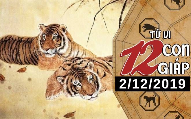 Tử vi thứ 2 ngày 2/12/2019 của 12 con giáp: Dần gia tăng thu nhập, Thân nhiều chuyện phải lo nghĩ
