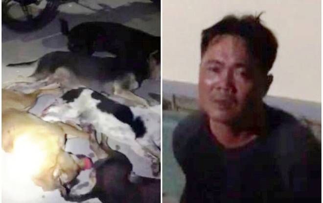 Thấy cảnh sát giao thông, tên trộm chó vứt xe nhảy xuống ao hòng tẩu thoát