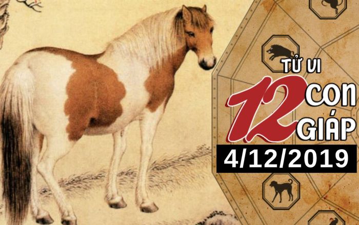 Tử vi thứ 4 ngày 4/12/2019 của 12 con giáp: Ngọ được quý nhân giúp đỡ, Thân đề phòng tiểu nhân