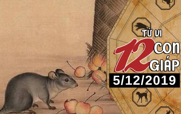 Tử vi thứ 5 ngày 5/12/2019 của 12 con giáp: Tý công việc khả quan, Dần nên sáng suốt về tài chính