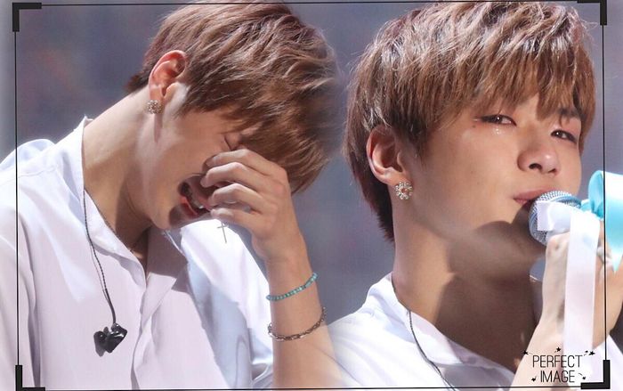 Knet nói gì khi Kang Daniel đau đớn bày tỏ: 'Làm ơn cứu tôi!'