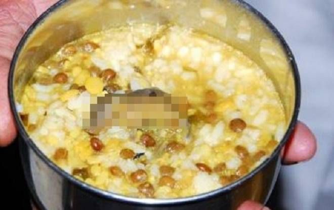 Bữa trưa có lẫn chuột chết ở trường học Ấn Độ khiến nhiều học sinh nhập viện