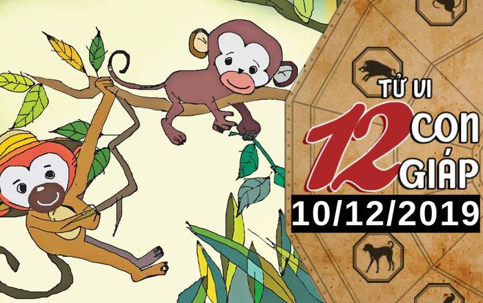 Tử vi thứ 3 ngày 10/12/2019 của 12 con giáp: Thân nên quan tâm 'nửa kia' nhiều hơn, Ngọ gặp thách thức trong công việc