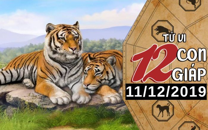 Tử vi thứ 4 ngày 11/12/2019 của 12 con giáp: Dần nên có chính kiến trong công việc, Mão tiền bạc rủng rỉnh