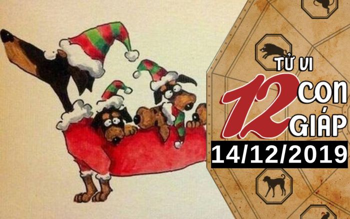 Tử vi thứ 7 ngày 14/12/2019 của 12 con giáp: Tuất nên nghiêm túc trong tình cảm, Ngọ nhận tin vui trong công việc