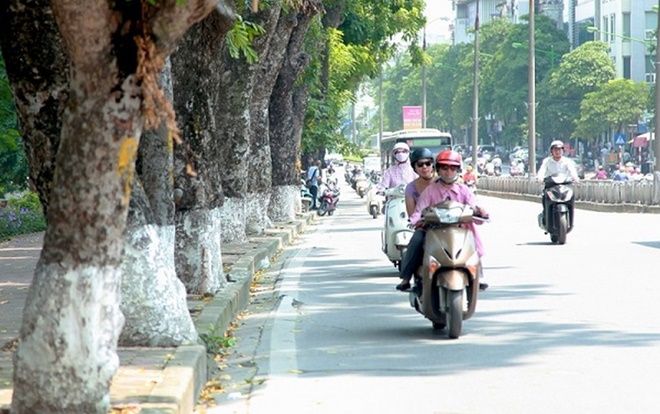 Dự báo thời tiết 15/12: Nhiệt độ khu vực miền Bắc tăng trong vài ngày tới