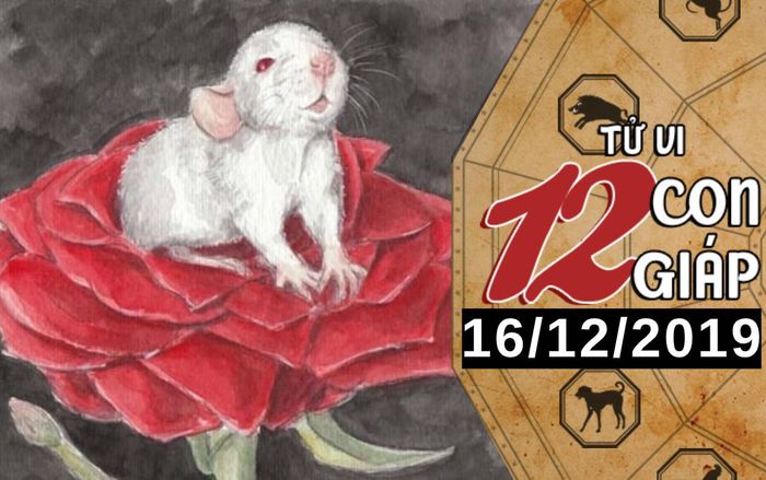 Tử vi thứ 2 ngày 16/12/2019 của 12 con giáp: Tý có bước tiến tốt về tài chính, Dần gặp trở ngại trong công việc