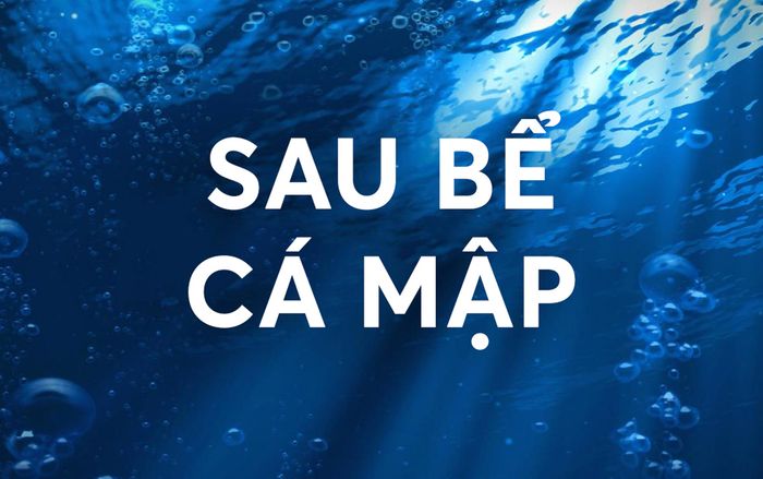 Sau bể cá mập: Các startup gọi vốn thành công ở Shark Tank đang 'làm ăn' ra sao?