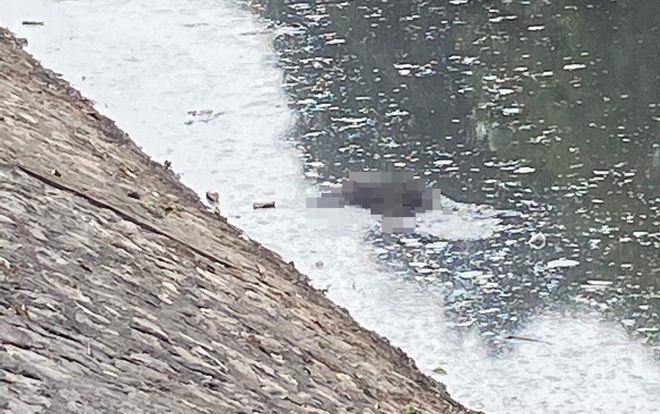 Phát hiện thi thể nam giới trôi ven bờ sông Kim Ngưu