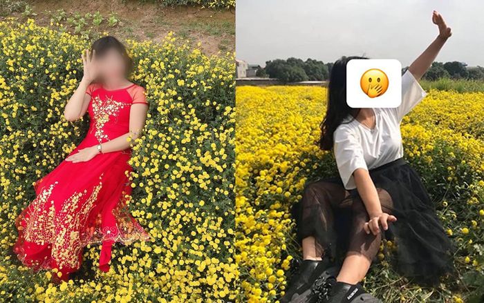 Nằm hẳn lên luống hoa cúc chụp ảnh, cô gái khiến dân mạng 'lắc đầu' ngao ngán: 'Mặc đẹp làm gì khi hành động xấu'
