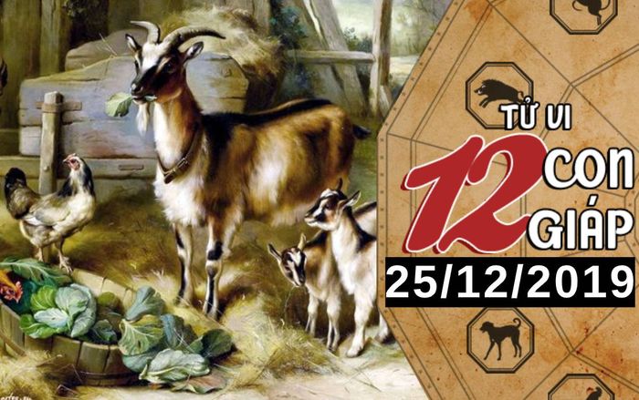 Tử vi thứ 4 ngày 25/12/2019 của 12 con giáp: Mùi gặp vấn đề tài chính, Tỵ nên nỗ lực hơn trong công việc