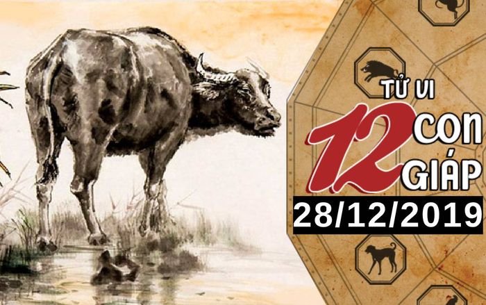 Tử vi thứ 7 ngày 28/12/2019 của 12 con giáp: Sửu gặp vấn đề về tài chính, Tỵ đề phòng sức khỏe