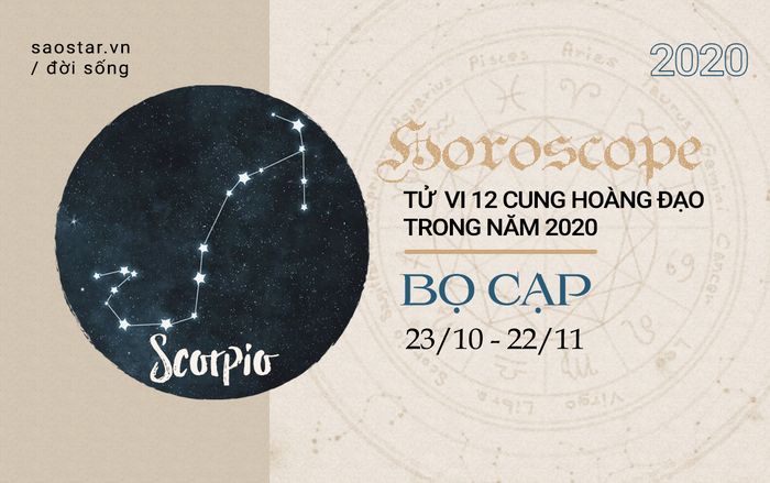 Xem tử vi cung Bọ Cạp năm 2020: Tình cảm chưa có nhiều khởi sắc nhưng sự nghiệp sẽ tràn đầy cơ hội mới