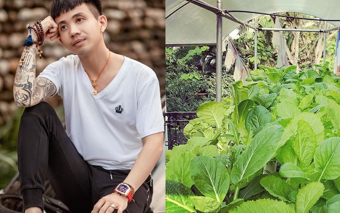 Quên hình ảnh đại gia ăn chơi nức tiếng đi, Minh Nhựa nay quyết làm nông dân khi tự tay chăm sóc vườn rau xanh mướt