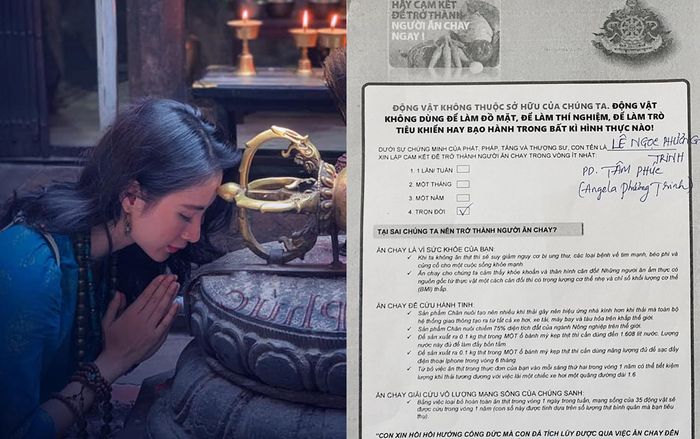 Angela Phương Trinh bất ngờ thông báo sẽ ăn chay trọn đời