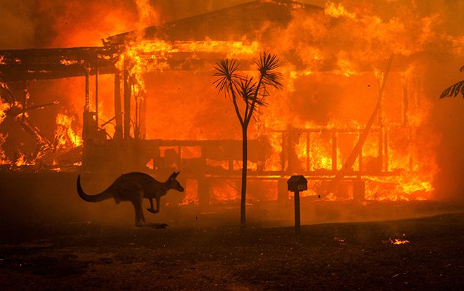 Vì sao cháy rừng ở Australia thảm khốc tới mức này?