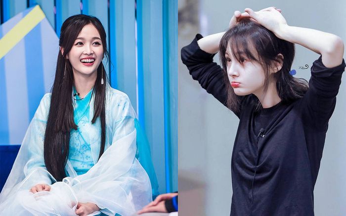 Khẩu nghiệp như fan nhà Ngô Tuyên Nghi: Trù ẻo gia đình Trịnh Sảng sống không được yên ổn