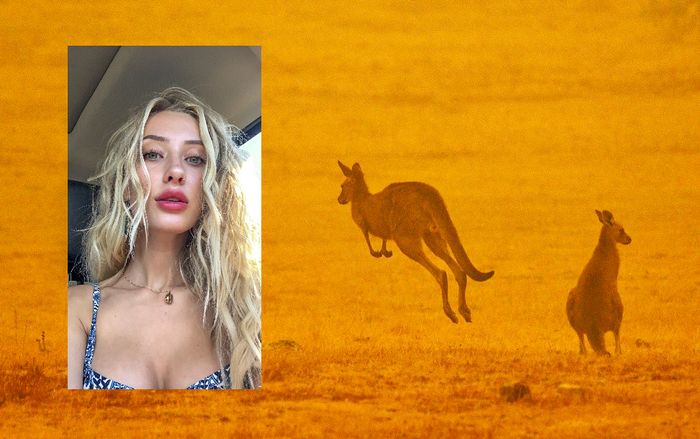 Người mẫu quyên góp hơn 160 triệu cho nạn nhân cháy rừng ở Úc bằng ảnh khỏa thân đã bị Instagram 'cấm cửa'