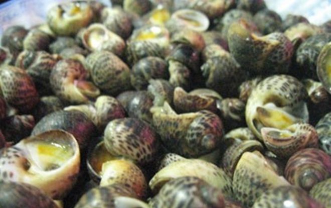 8 ngư dân nghi ngộ độc sau khi ăn ốc biển, 1 người đã tử vong