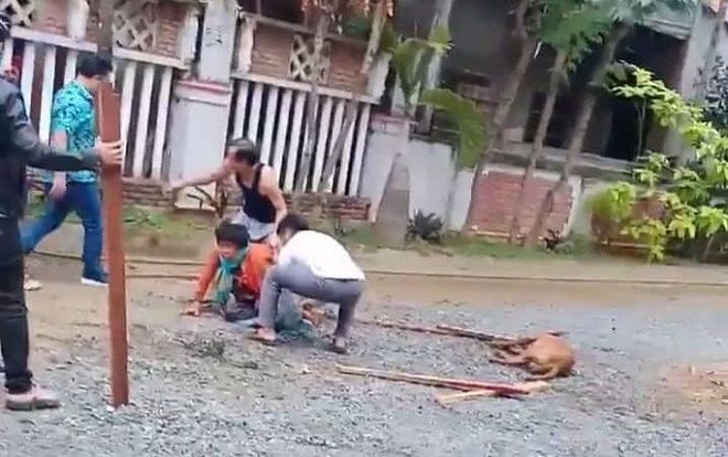 Kinh hoàng chó Pitbull tuột xích, hung tợn cắn nát tay người phụ nữ
