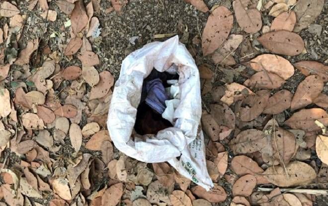 Tá hỏa phát hiện thi thể trẻ sơ sinh trong bao tải giữa vườn điều