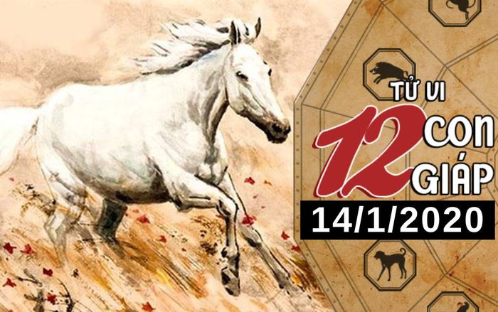 Tử vi thứ 3 ngày 14/1/2020 của 12 con giáp: Ngọ tình duyên khởi sắc, Sửu áp lực vì gia đình