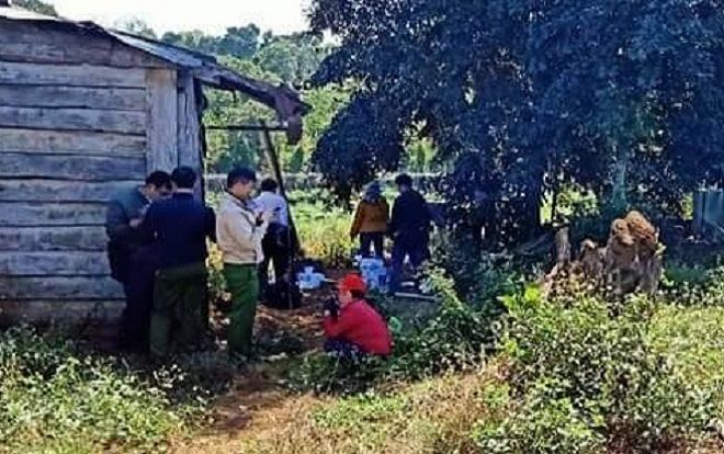 Phát hiện thi thể người đàn ông cháy đen trong rẫy cà phê, bên cạnh có 1 máy tính