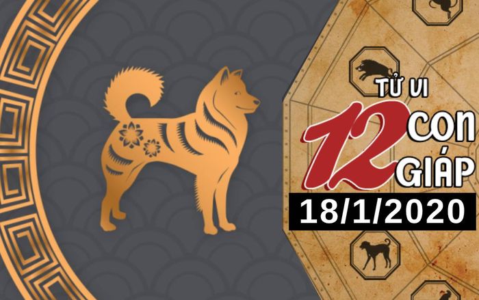 Tử vi thứ 7 ngày 18/1/2020 của 12 con giáp: Tuất bận rộn với công việc, Tỵ đắm chìm trong tình yêu