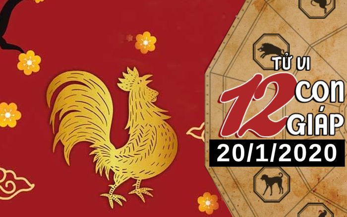 Tử vi thứ 2 ngày 20/1/2020 của 12 con giáp: Dậu bứt phá trong công việc, Sửu nên chú ý sức khỏe